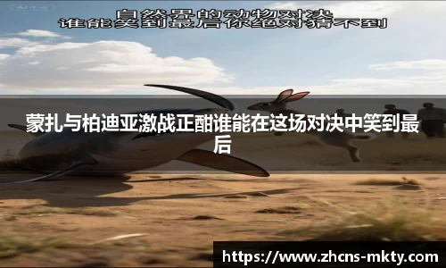 mk体育官方网站