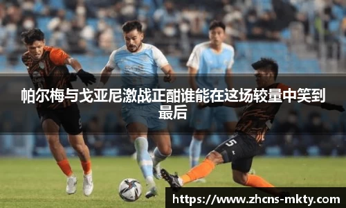 帕尔梅与戈亚尼激战正酣谁能在这场较量中笑到最后